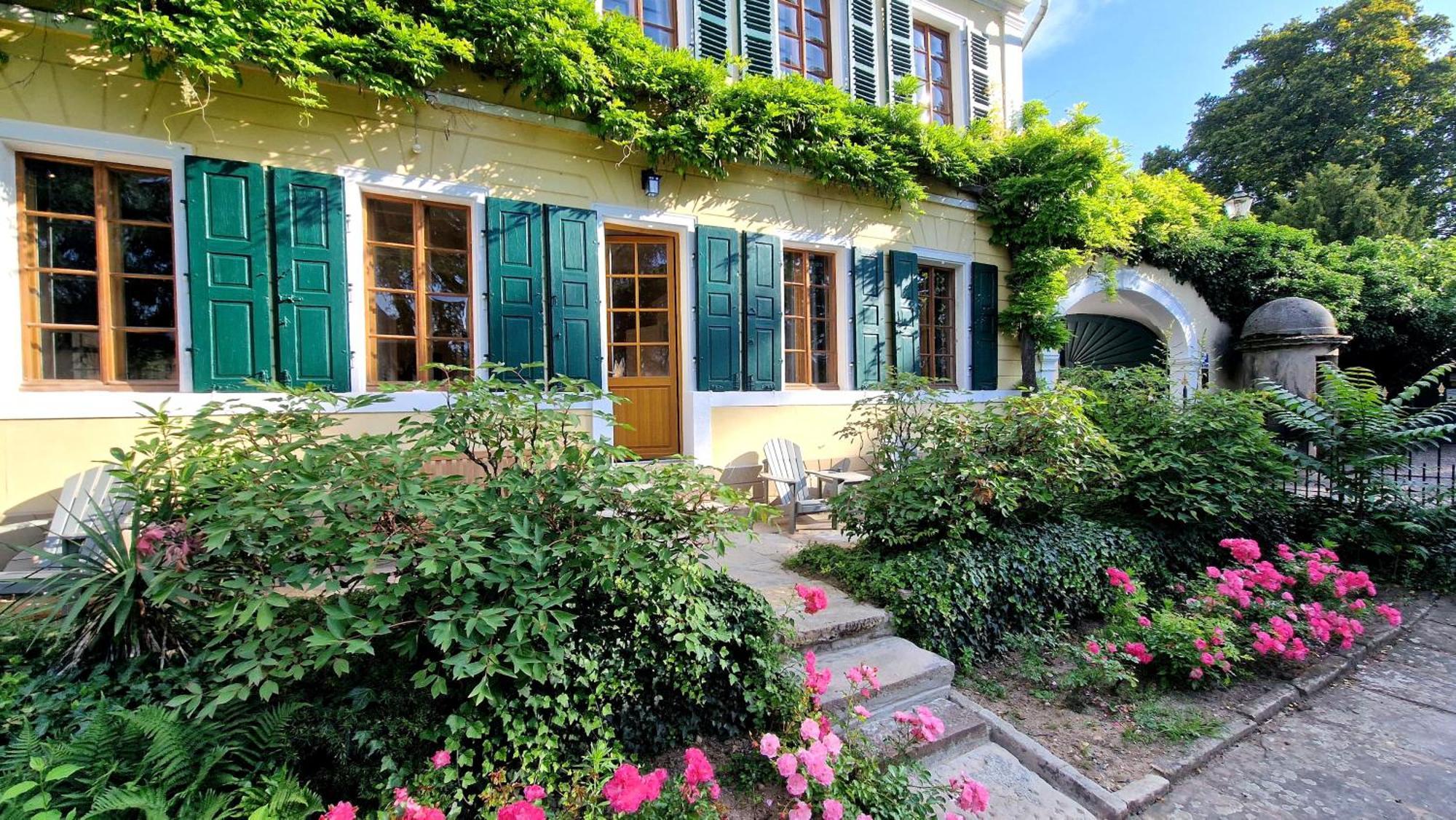 Unterkunft Im Weingut Fitz-Ritter Bad Dürkheim Quarto foto
